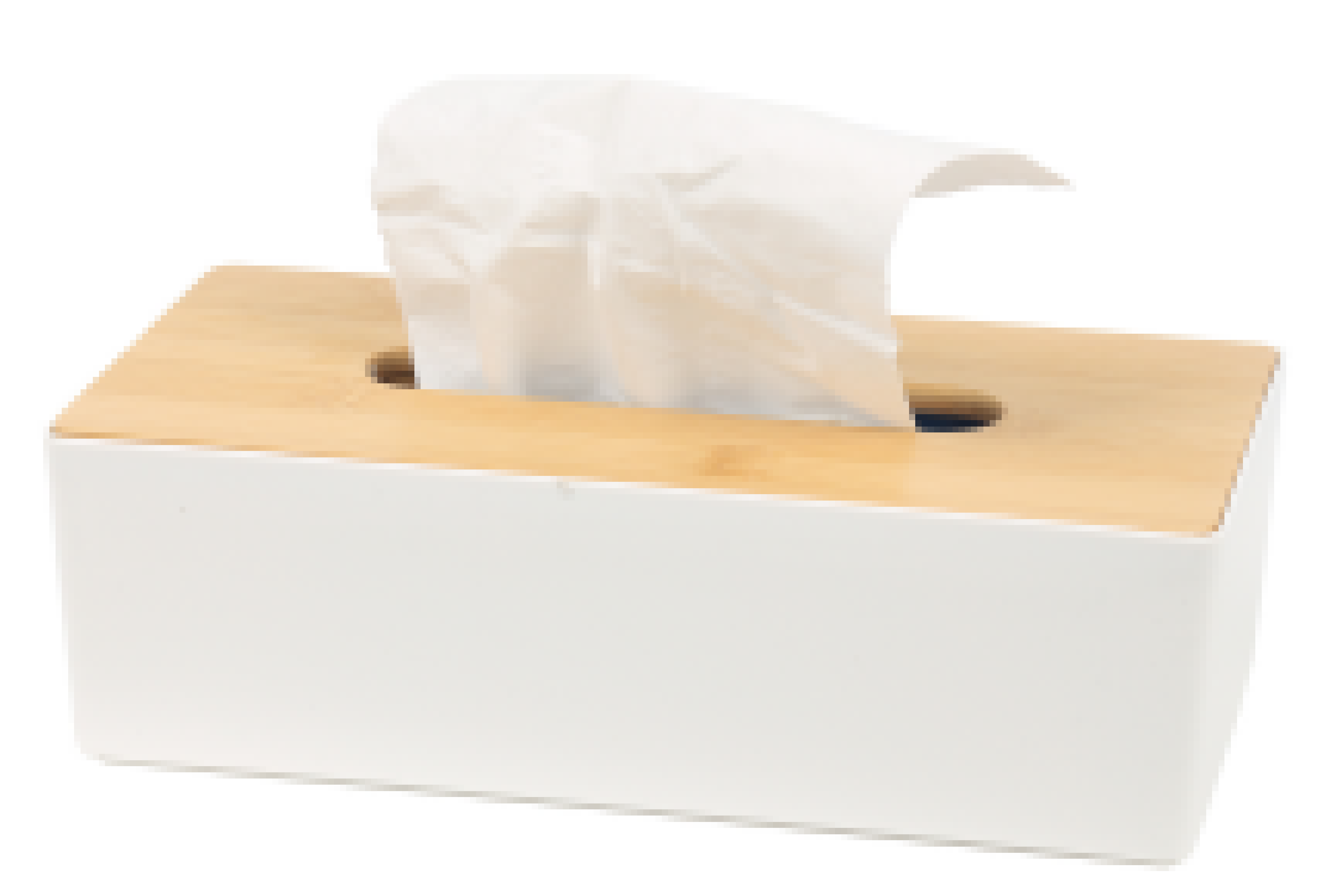 Tissue box holder